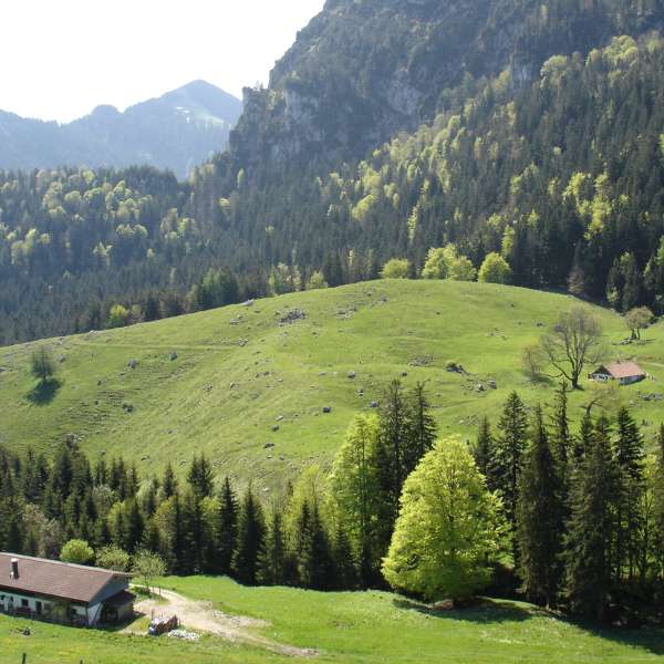 weissenalm-oben.jpg