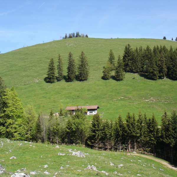 weissenalm-irlberg.jpg